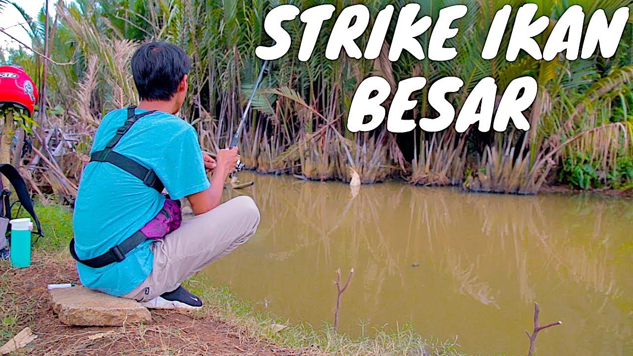 🔴Dapat Ikan Besar!!! Pancing Dibawa Lari Kedalam Kolom Jembatan