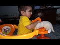 baby play kitten _ pet | funny video