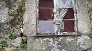 Panorâmica da zona Ribeiro em Palmeira - Braga