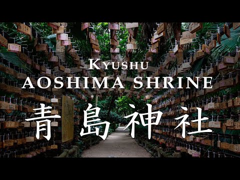 Aoshima Shrine  KYUSHU x TOKYO (JAPAN)