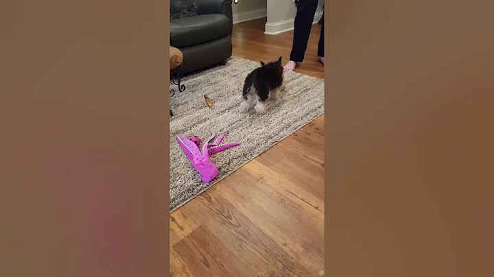 Christmas 2017 Gabby