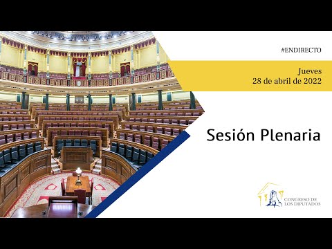 Sesión Plenaria (28/04/2022)