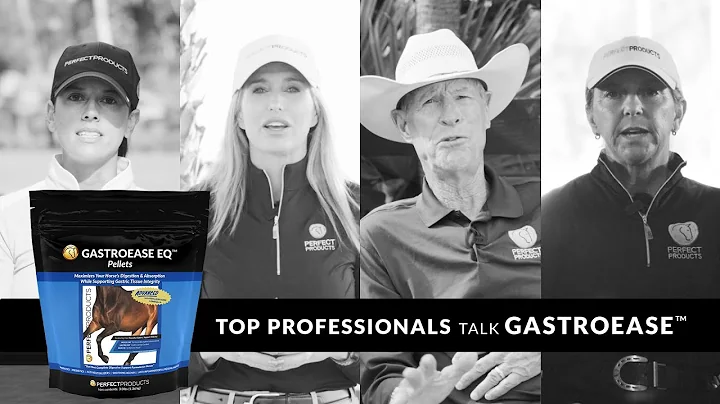 Top Equine Professionals Talk GastroEase EQ™ Pellets Gastric Support for Performance Horses