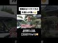 【ダーツの旅・笑コラスタッフ厳選】2024年12月25日放送 クリスマスSP📺⚡️ ダーツの旅 「津軽弁がペラペラの外国人が凄い！」