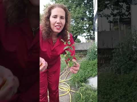 روتيني اليومي وإطلالة خارج التوقعات