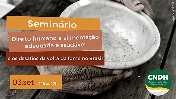 O que Estabeleçe os direitos humanos?