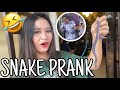 BABY SNAKE PRANK | #JMZEL