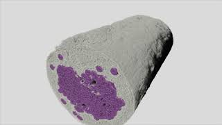 Ceramics, CMCs and Porous Media.
