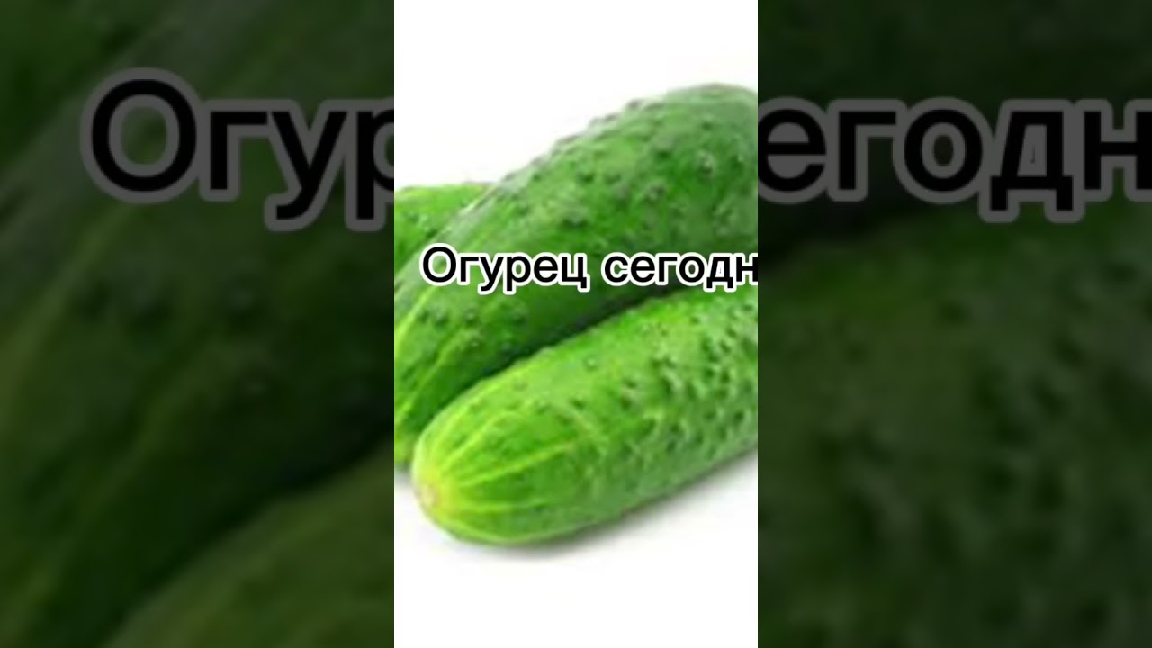 ДИКИЙ ОГУРЕЦ 🥵🥵🥵😨😨😱😱😱 