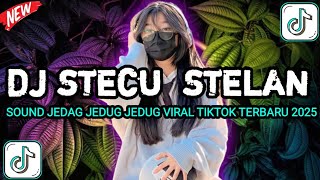 DJ STECU STECU STELAN CUEK BARU MALU SANDIKAWEK VIRAL TΙΚΤΟΚ 2025