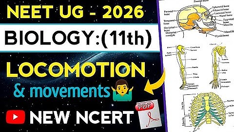 Locomotion and Movements class 11th NEET 🔥l NCERT Biology l one shot revision l NEET 2026