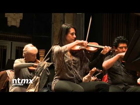 Mujeres con oficio: Violinista