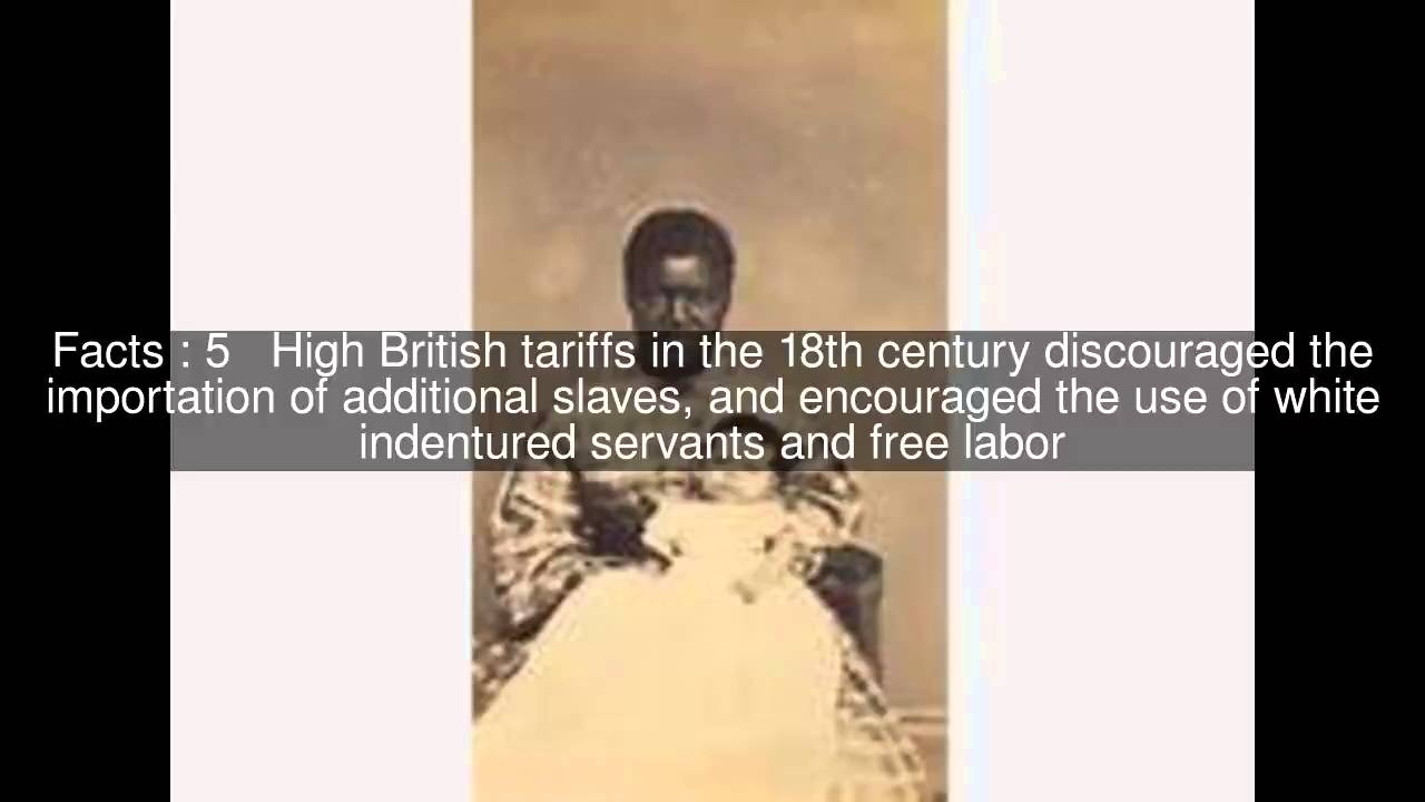 History Of Slavery In Pennsylvania Top 9 Facts Youtube