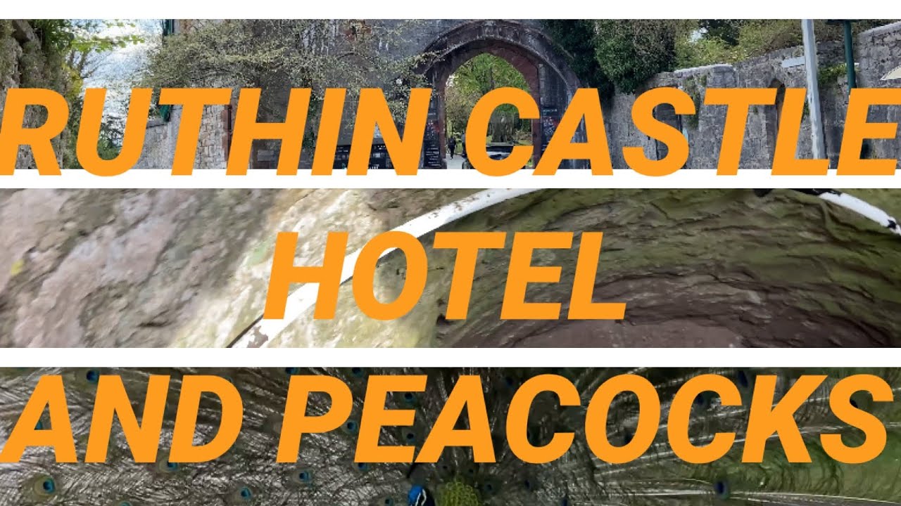 RUTHIN CASTLE HOTEL AND SPA NORTH WALES WITH SOME PEACOCKS ON DISPLAY