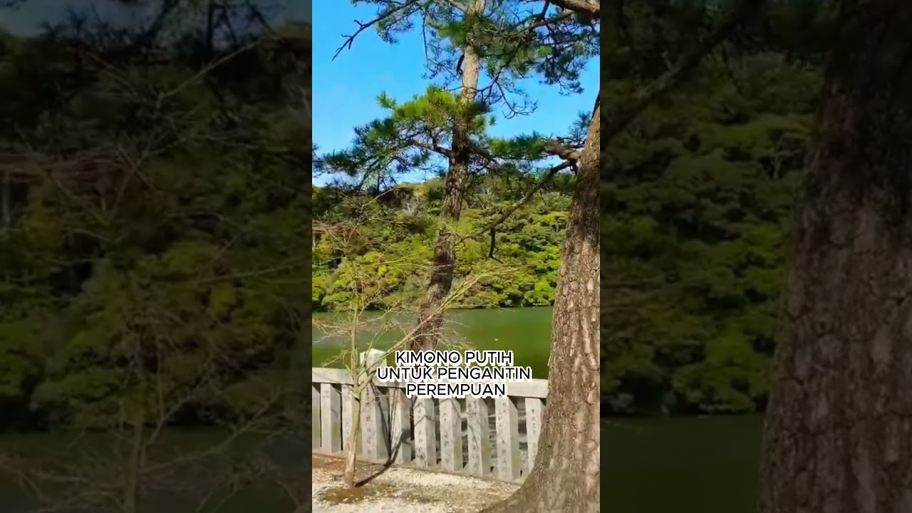 PERNIKAHAN TRADISIONAL JEPANG