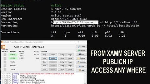 Access Any where from xampp server publich ip # Ngrok