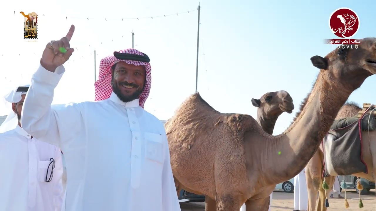 مسيرة رجل الاعمال  بندر بدر بن عميرة   شوط القعدان صفر