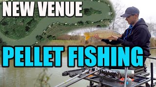 How I Fish A New Venue | Catching Carp On Hard Pellets!
