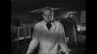 Erich von Stroheim Mad Scientist @cinemobile