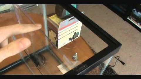 10 Gallon DIY sump build