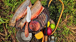 RIVERSIDE TROUT Catch, Cook in the FOREST! | AMAZING UNDERWATER FISH CAMERA