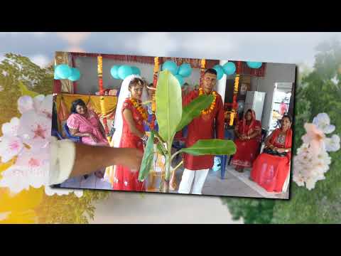 Video: Waar Een Traditionele Indiase Bruiloft Bij Te Wonen