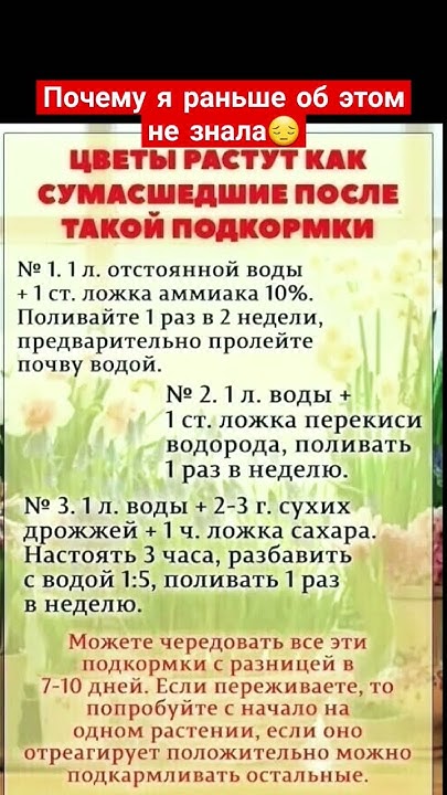 #цветы #советы #полезныесоветы #дача #огород - YouTube