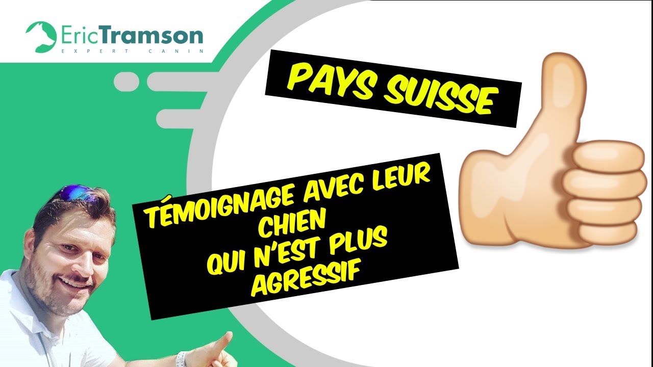 SUISSE, Témoignage de retour au pays avec leur chien qui n'est plus agressif - YouTube