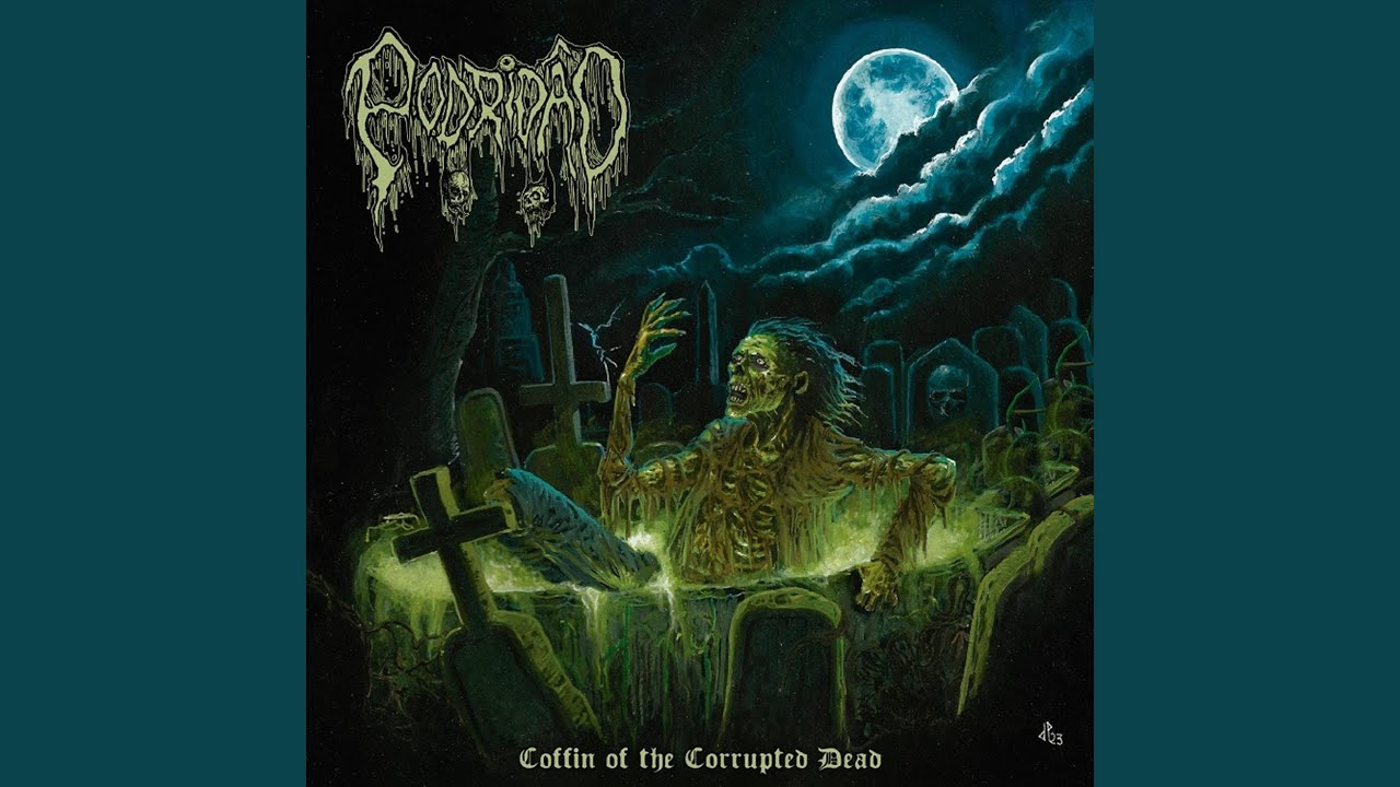 Stages of Decomposition