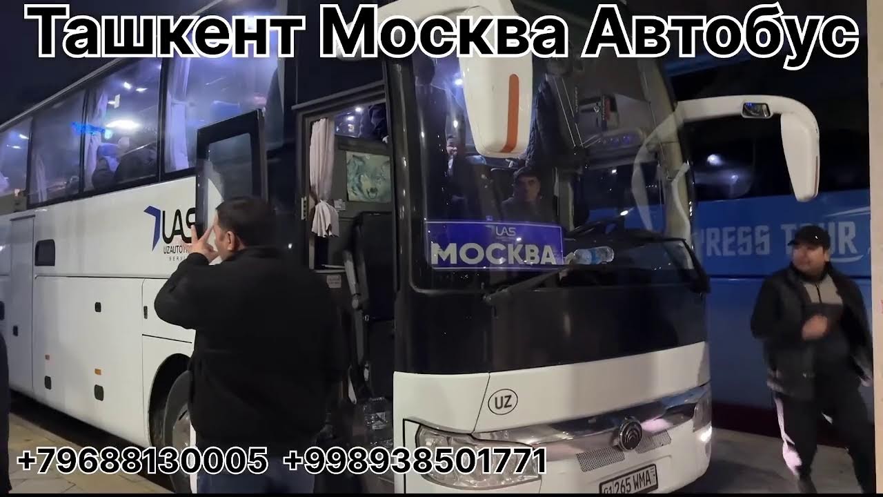 ташкент москва автобус