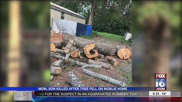 Neighbors: Falling Trees an Ongoing Problem at Mobile Home Park Where Mom, Son Killed
