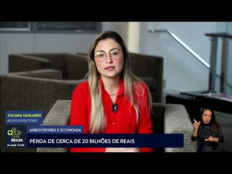 Casos de doenças transmitidas pelo aedes aegypti pode impactar economia