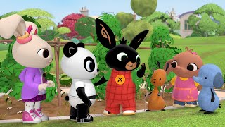 Nature Explorer Charlie Did It And More  2 Hours  Bing  Episodes  Bing And Friends