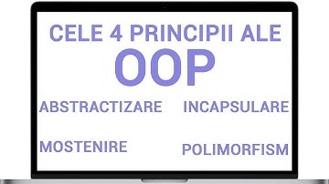 Cele 4 principii ale OOP (abstractizare, incapsulare, mostenire, polimorfism)