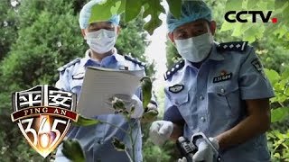 《平安365》注定的意外 20190109 | CCTV社会与法