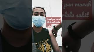 Download Lagu Semut pun marah.... MP3