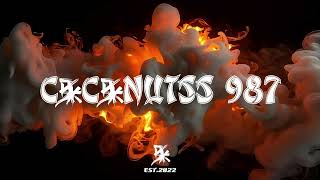 PAPI DO BRAZIL - (Crose 987 X PAPIHIGH) 2026ツ