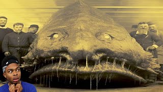 Terrifying Sea Creatures Reported In Classified Navy Files
