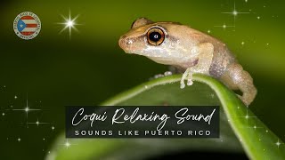 One Hour of Relaxation COQUI Sounds at Night in PUERTO RICO screenshot 5