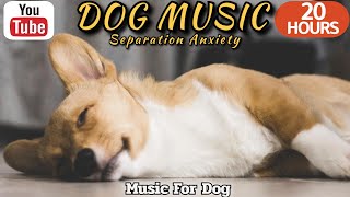 20 HOURS of Dog Calming MusicSeparation Anxiety Relief MusicRelaxing Dog TV⭐Healingmate