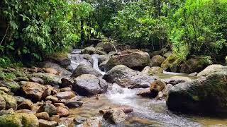 Steady River Flow • 1 Hour • Calming Water Ambience for Study, Work, and Brain Focus 4K