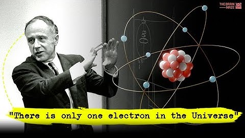 "One Electron Wonder: John Wheeler