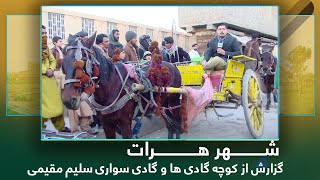 Ariana Herat: Report from Carriages / آریانا هرات: گزارش از کوچه گادی ها و گادی سواری سلیم مقیمی