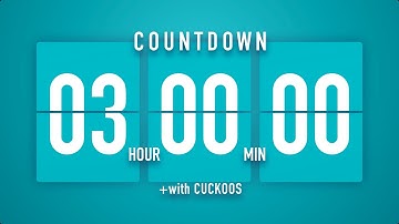 3 Hours Countdown Flip Clock Timer / Cuckoos 🐦