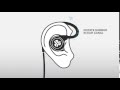 Fit your memory wire earbuds by jlab audio