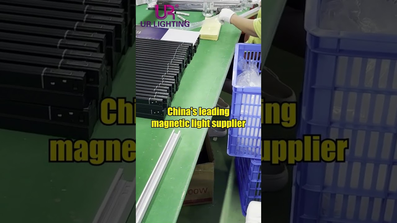 China's leading magnetic light supplier 