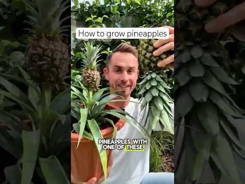 How to grow