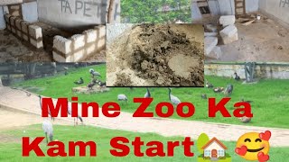 Mine zoo ka Kam start comments for New ideas 😘