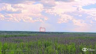🔥 Early wildfire detection in action, Episode 2 - Tested Under Pressure (XPRIZE FInals, Alaska) New Technology Application For Alaska Wildfire Detection