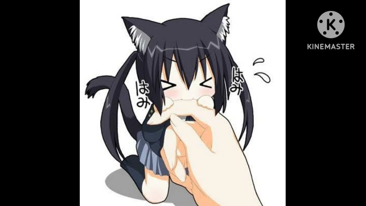 (HB) Slayr x Waera x Bloodluxe x Smlti3Nite x HSDK x Holding Type Beat 